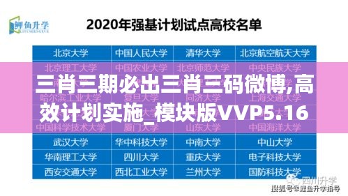 三肖三期必出三肖三码微博,高效计划实施_模块版VVP5.16