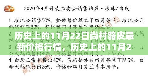 历史上的11月22日尚村貉皮价格行情解析及查询指南