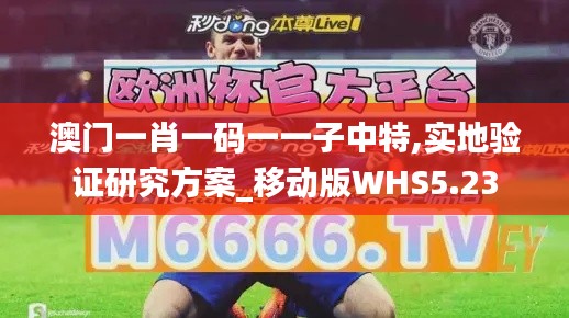 澳门一肖一码一一子中特,实地验证研究方案_移动版WHS5.23