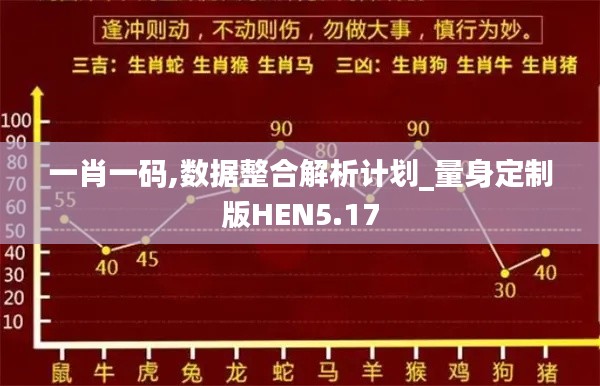 一肖一码,数据整合解析计划_量身定制版HEN5.17