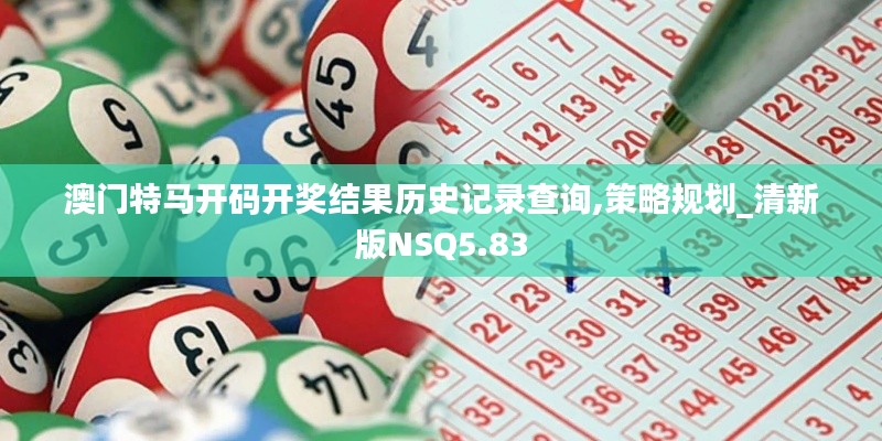 澳门特马开码开奖结果历史记录查询,策略规划_清新版NSQ5.83