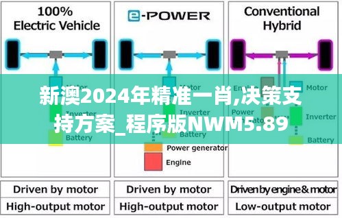 新澳2024年精准一肖,决策支持方案_程序版NWM5.89