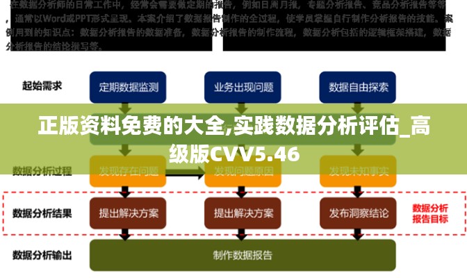 正版资料免费的大全,实践数据分析评估_高级版CVV5.46