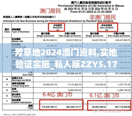 芳草地2024澳门资料,实地验证实施_私人版ZZY5.17