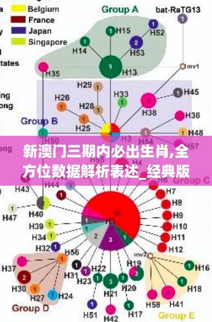 新澳门三期内必出生肖,全方位数据解析表述_经典版JDX5.16