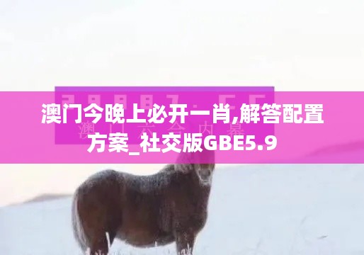 澳门今晚上必开一肖,解答配置方案_社交版GBE5.9