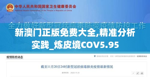 新澳门正版免费大全,精准分析实践_炼皮境COV5.95