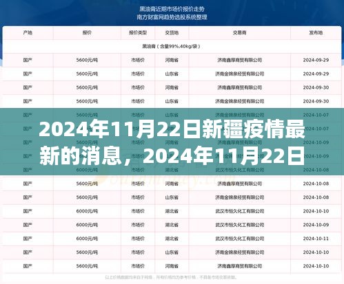 2024年11月22日新疆疫情最新消息与动态，积极应对，共克时艰