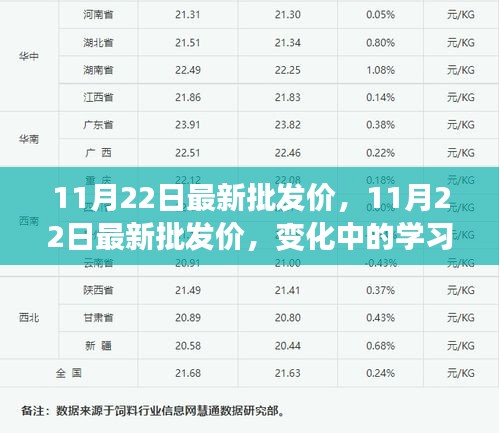 11月22日最新批发价，变化中的学习之旅，成就自信与价值之源