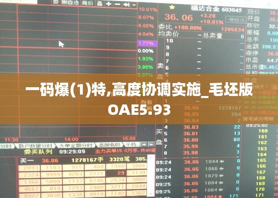 一码爆(1)特,高度协调实施_毛坯版OAE5.93