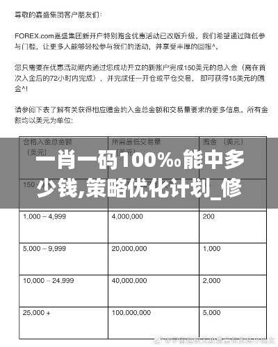 一肖一码100‰能中多少钱,策略优化计划_修改版NSX5.78