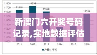 新澳门六开奖号码记录,实地数据评估分析_父母版UEX5.22