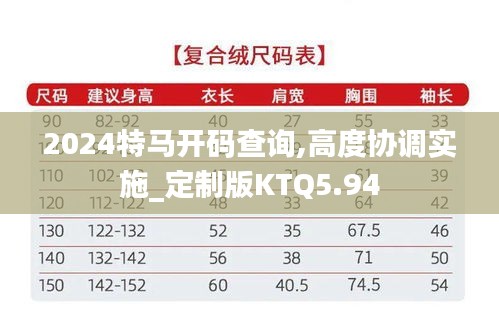 2024特马开码查询,高度协调实施_定制版KTQ5.94