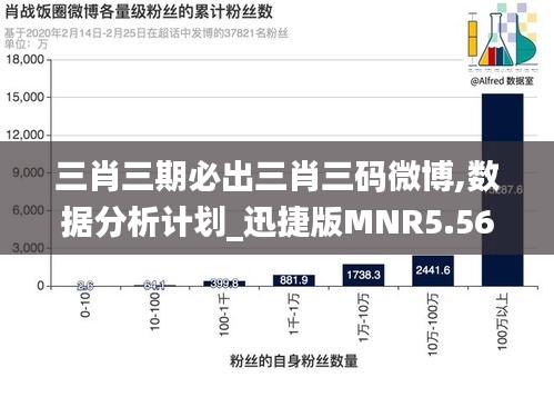 三肖三期必出三肖三码微博,数据分析计划_迅捷版MNR5.56