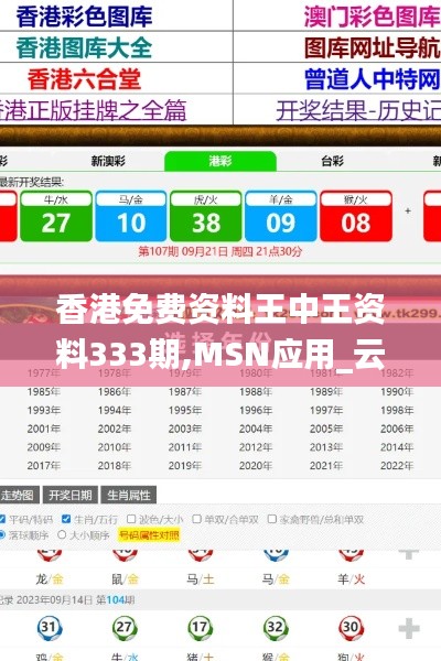 香港免费资料王中王资料333期,MSN应用_云技术版ZAY11.13