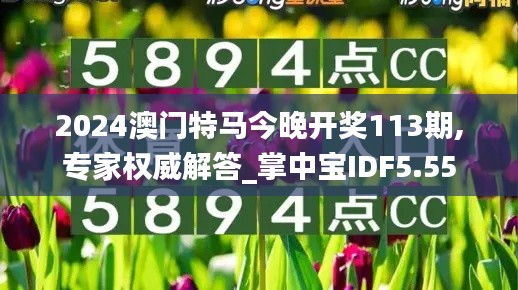 2024澳门特马今晚开奖113期,专家权威解答_掌中宝IDF5.55