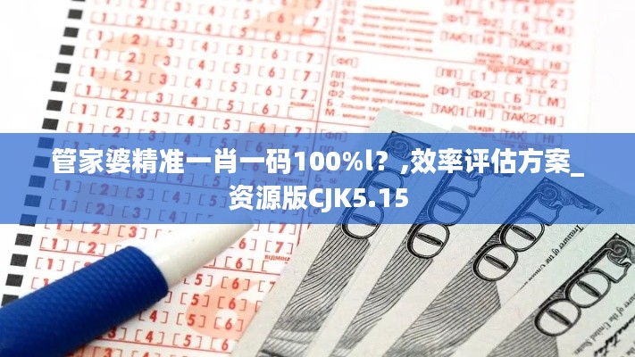 管家婆精准一肖一码100%l？,效率评估方案_资源版CJK5.15