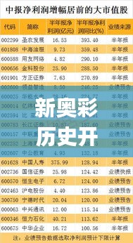 新奥彩历史开奖记录,数据化决策分析_晴朗版UXC5.45