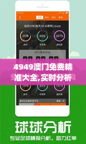 4949澳门免费精准大全,实时分析处理_强劲版VAU5.21