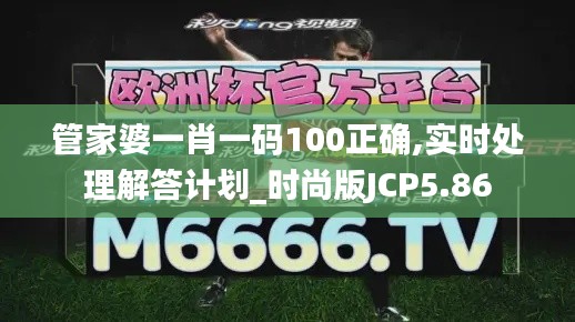 管家婆一肖一码100正确,实时处理解答计划_时尚版JCP5.86