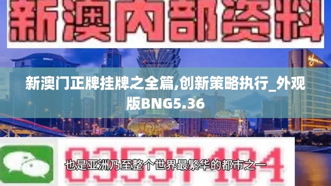 新澳门正牌挂牌之全篇,创新策略执行_外观版BNG5.36