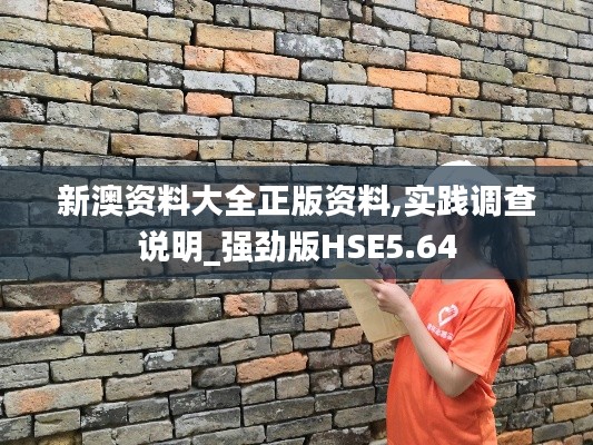 新澳资料大全正版资料,实践调查说明_强劲版HSE5.64