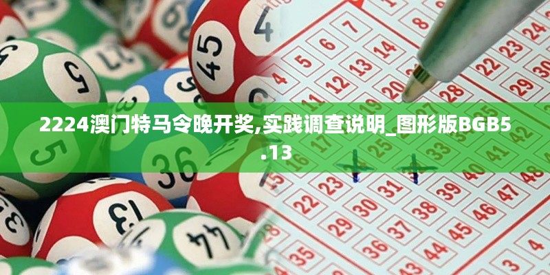 2224澳门特马令晚开奖,实践调查说明_图形版BGB5.13