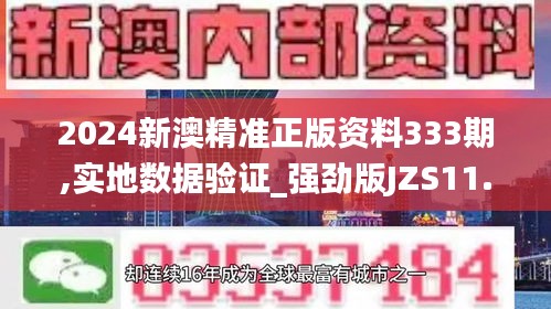 2024新澳精准正版资料333期,实地数据验证_强劲版JZS11.20