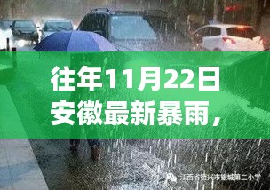 如何应对与防范往年11月22日安徽罕见暴雨的袭击与挑战？