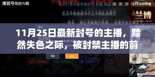 被封禁主播的前世今生与领域震荡，11月25日最新封号主播的黯然失色之际