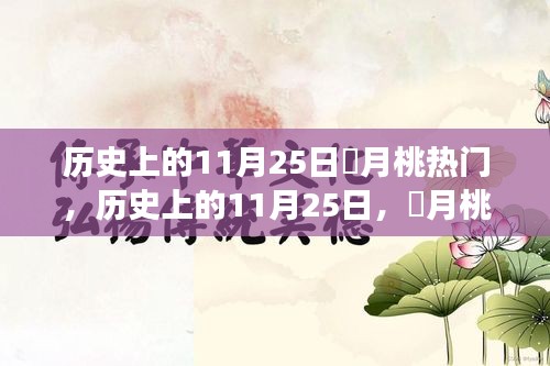 历史上的11月25日，葉月桃的热门时刻与竞品对比深度解析