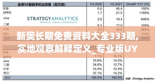 新奥长期免费资料大全333期,实地观察解释定义_专业版UYQ11.62