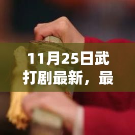 11月25日最新武打剧观看指南，在线观看武打大片全攻略