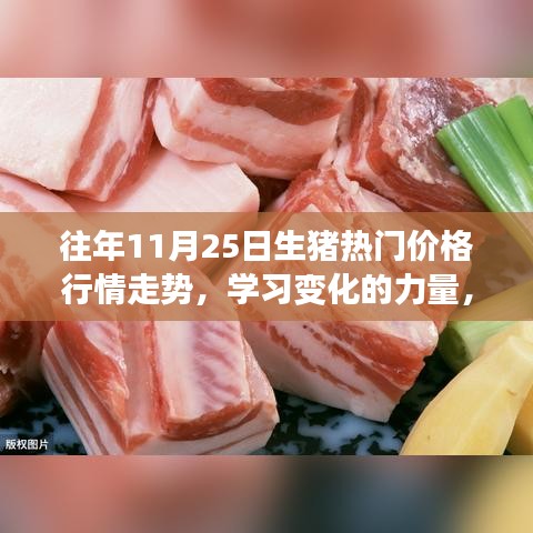 历年11月25日生猪热门价格行情走势深度解析，励志故事与变化的力量探寻