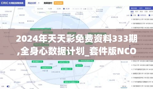 2024年天天彩免费资料333期,全身心数据计划_套件版NCO11.37