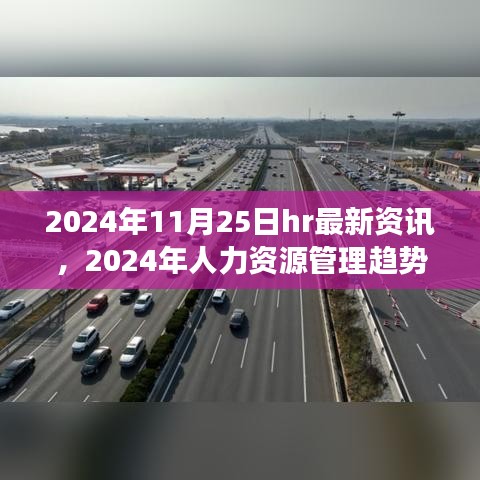 2024年11月25日人力资源最新资讯，洞悉未来人力资源管理趋势与策略变革