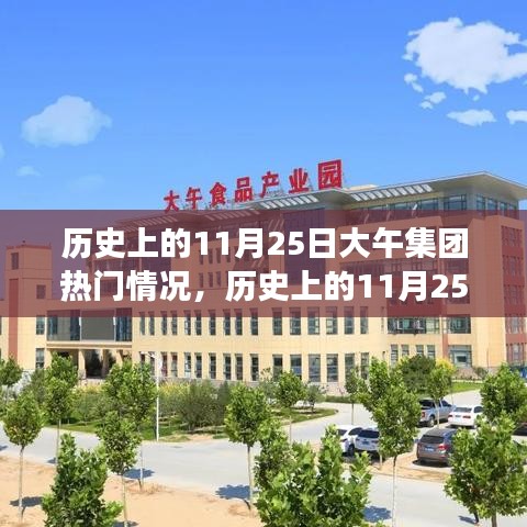 历史上的11月25日大午集团重大事件回顾与热门情况概览