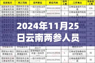 揭秘，2024年云南两参人员待遇深度解读与前瞻分析报告出炉！