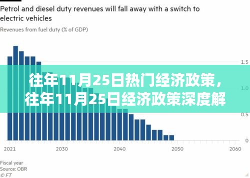 往年11月25日经济政策概览，深度解析、特性体验、竞品对比及用户群体分析