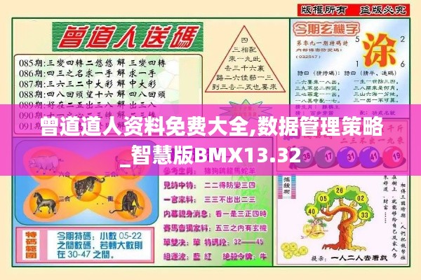 曾道道人资料免费大全,数据管理策略_智慧版BMX13.32