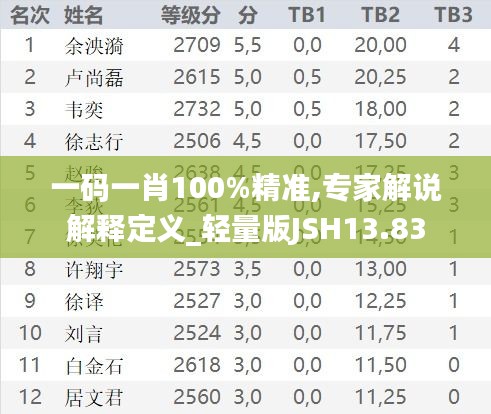 一码一肖100%精准,专家解说解释定义_轻量版JSH13.83