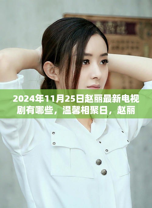 赵丽新剧揭秘，友情与家的温暖，温馨相聚日，快乐时光——2024年赵丽最新电视剧盘点