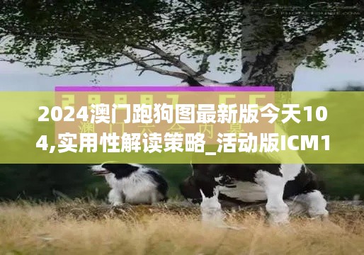 2024澳门跑狗图最新版今天104,实用性解读策略_活动版ICM13.4