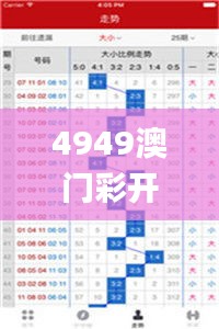 4949澳门彩开奖结果,精细化方案决策_随机版IJT13.29