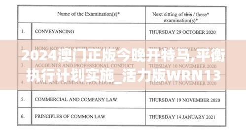 2024澳门正版今晚开特马,平衡执行计划实施_活力版WRN13.47