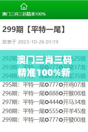 澳门三肖三码精准100%新华字典,实践调查说明_旅行助手版DZF13.29