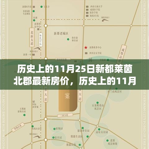 历史上的11月25日新都莱茵北郡房价变迁，探索变化的力量，铸就自信与梦想的基石