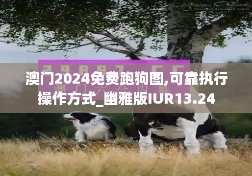 澳门2024免费跑狗图,可靠执行操作方式_幽雅版IUR13.24