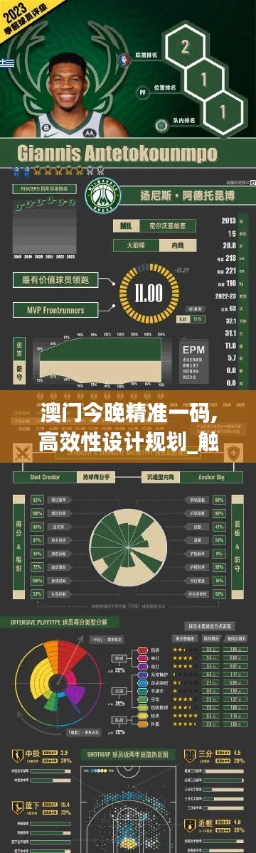 澳门今晚精准一码,高效性设计规划_触感版PMW13.40