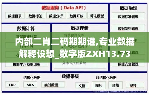 内部二肖二码期期谁,专业数据解释设想_数字版ZXH13.73